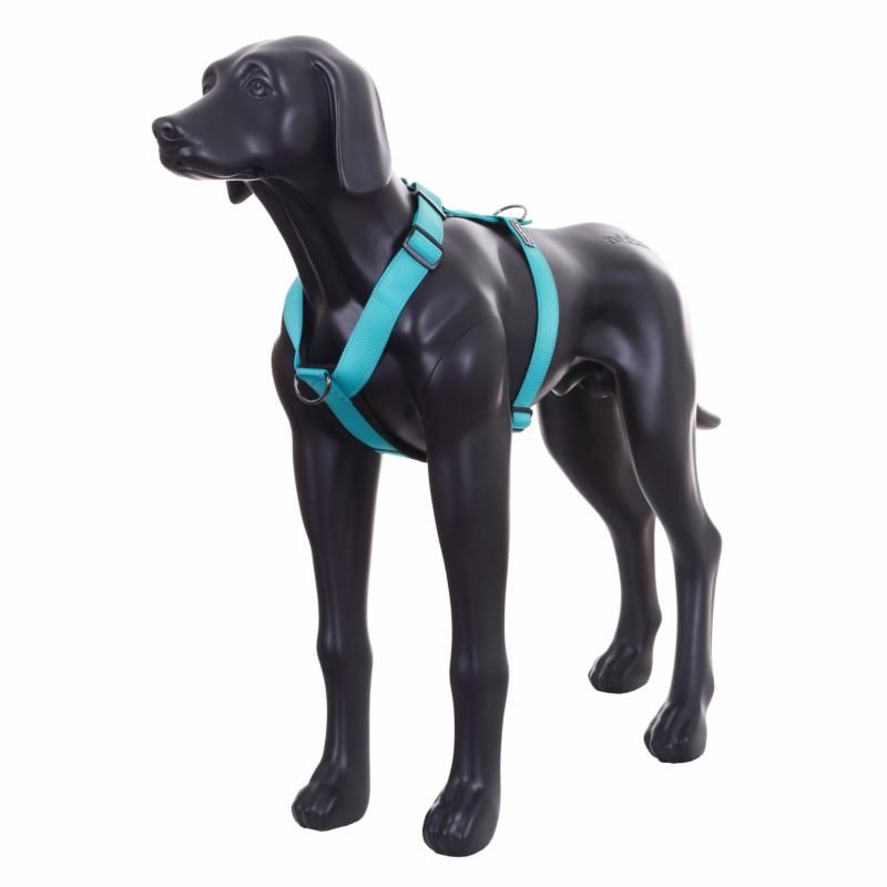 Rukka Pets - Brand New Form Dog Harness - Rukka - PurrfectlyYappy 