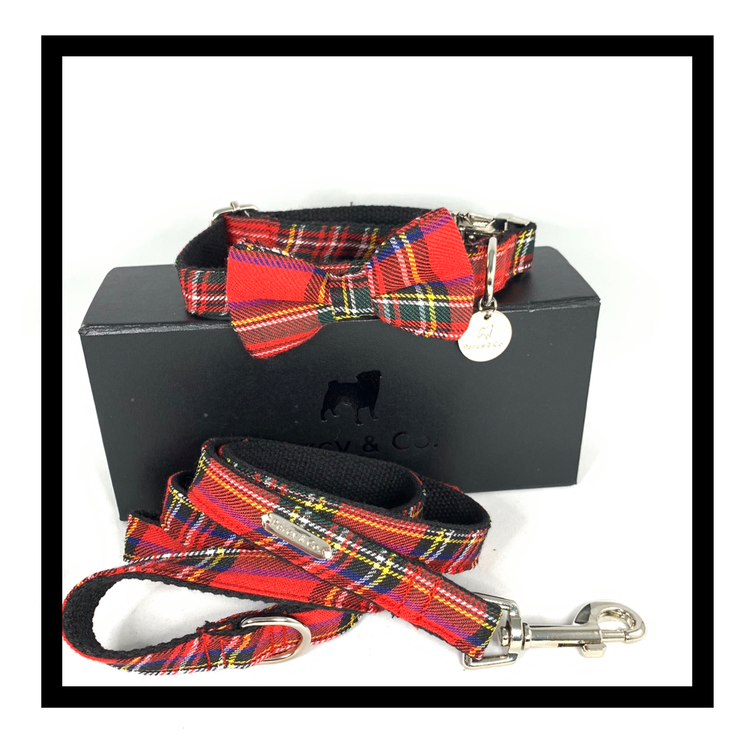 Bow tie dog collar and lead deals