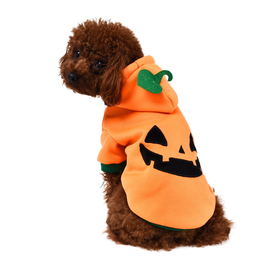 House of Paws Pumpkin Hoodie - Halloween - House Of Paws - PurrfectlyYappy 