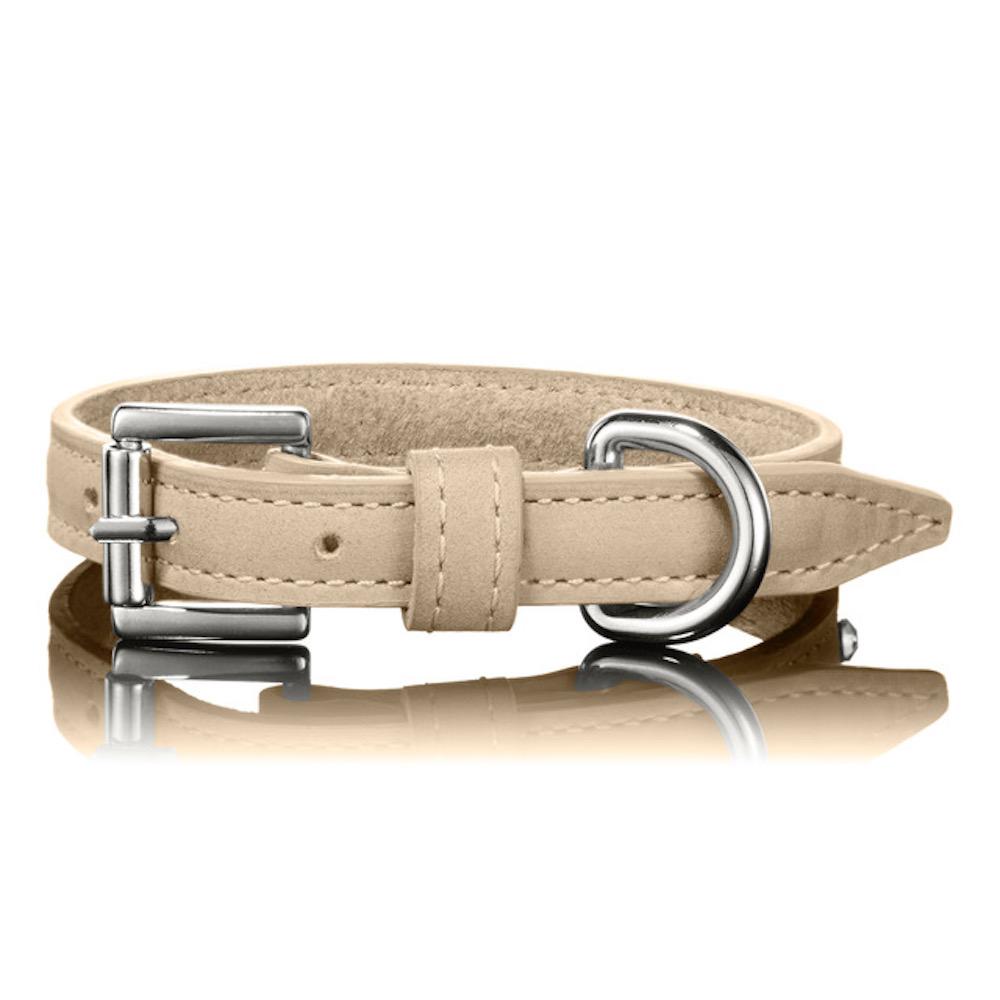 Paws with Opulence Tan Leather Dog Collar - PurrfectlyYappy