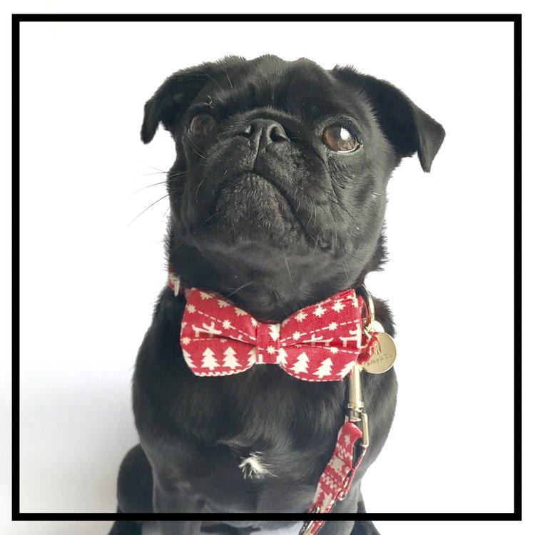 Percy & Co. The Finland Bow Tie and Dog Lead Set - Percy & Co. - PurrfectlyYappy 