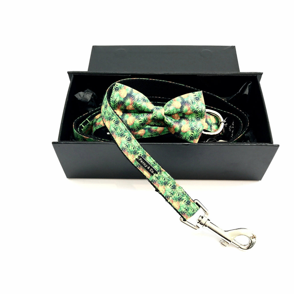 Percy & Co. Bow Tie Collar & Lead Set in The Alderley - PurrfectlyYappy