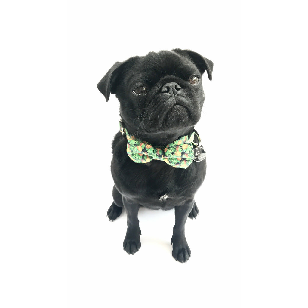 Percy & Co. Dog Collar Bow Tie in The Alderley - PurrfectlyYappy