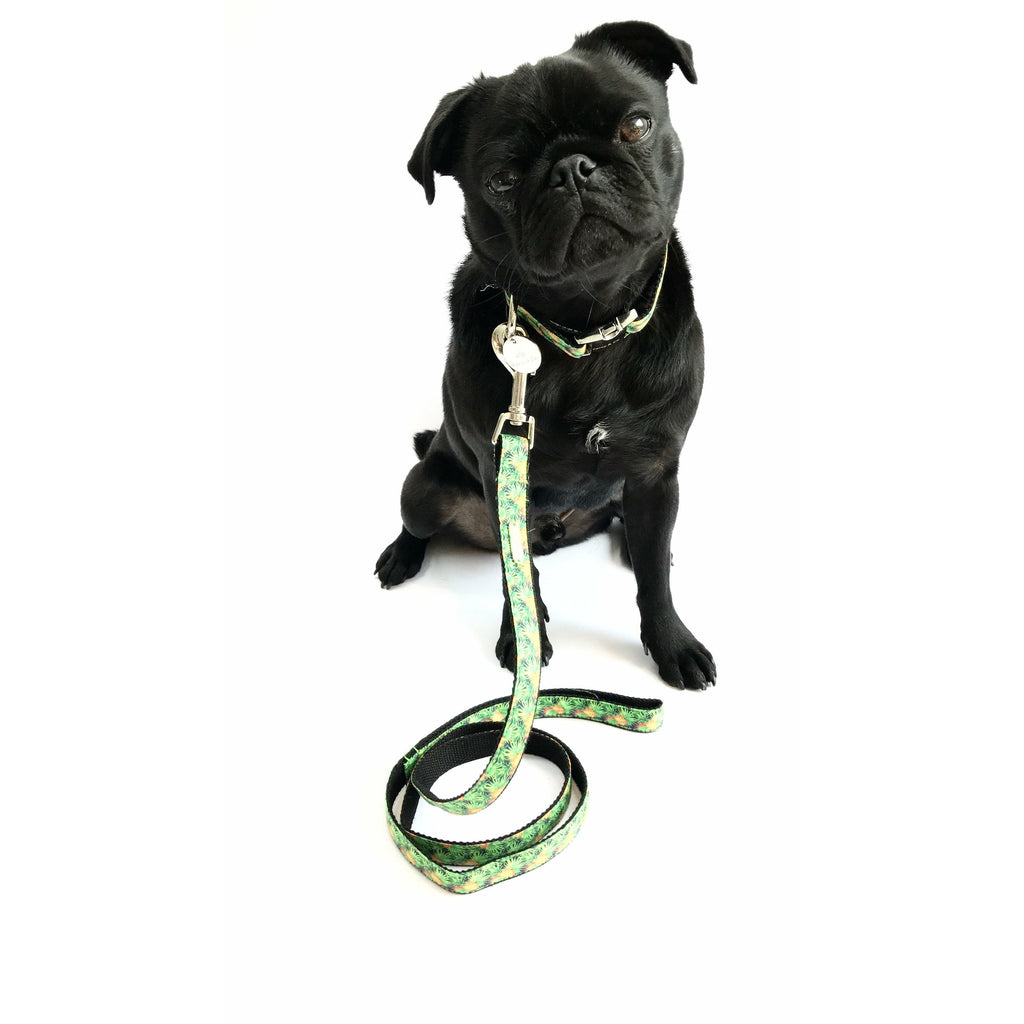 Percy & Co. Dog Collar & Lead Set in The Alderley - PurrfectlyYappy