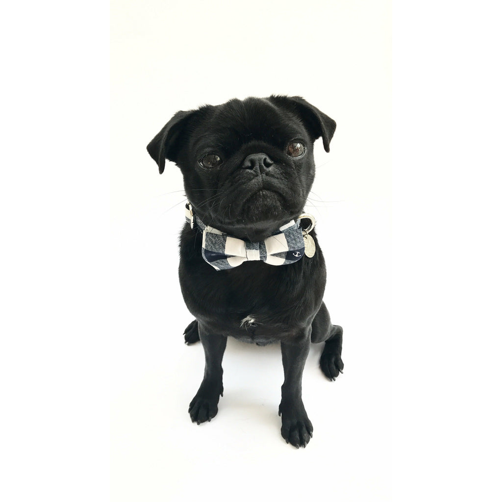 Percy & Co. Dog Collar Bow Tie in The Anglesey - PurrfectlyYappy