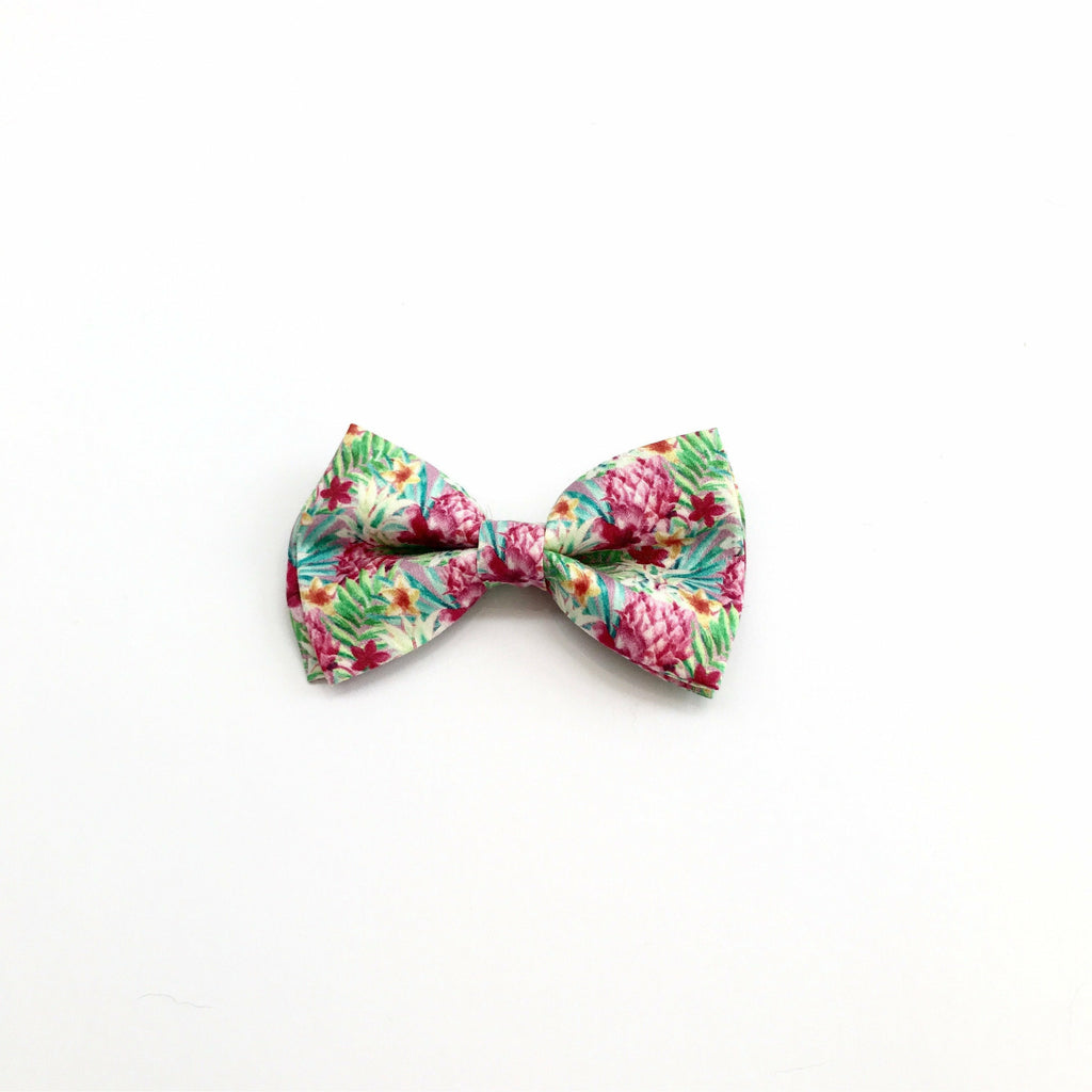 Percy & Co. Dog Collar Bow Tie in The Clifton - PurrfectlyYappy