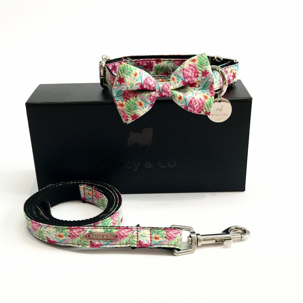 Percy & Co. Bow Tie Collar & Lead Set in The Clifton - PurrfectlyYappy