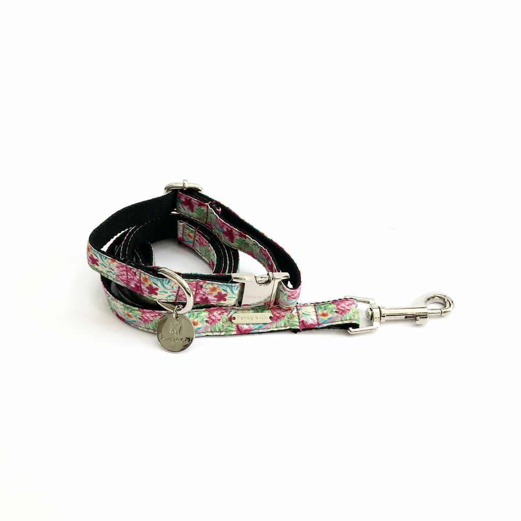Percy & Co. Dog Collar & Lead Set in The Clifton - PurrfectlyYappy
