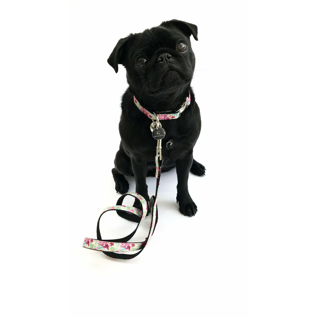 Percy & Co. Dog Collar & Lead Set in The Clifton - PurrfectlyYappy
