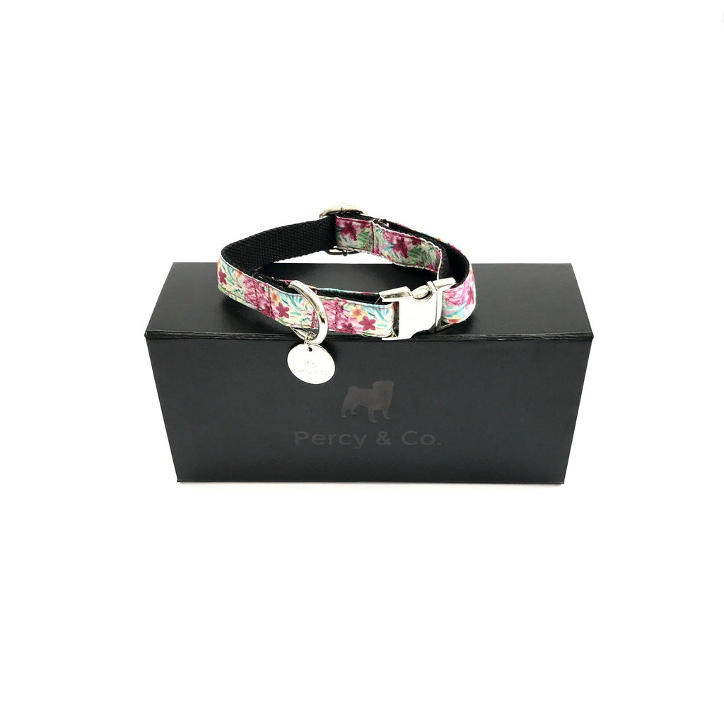 Percy & Co. Dog Collar in The Clifton - PurrfectlyYappy