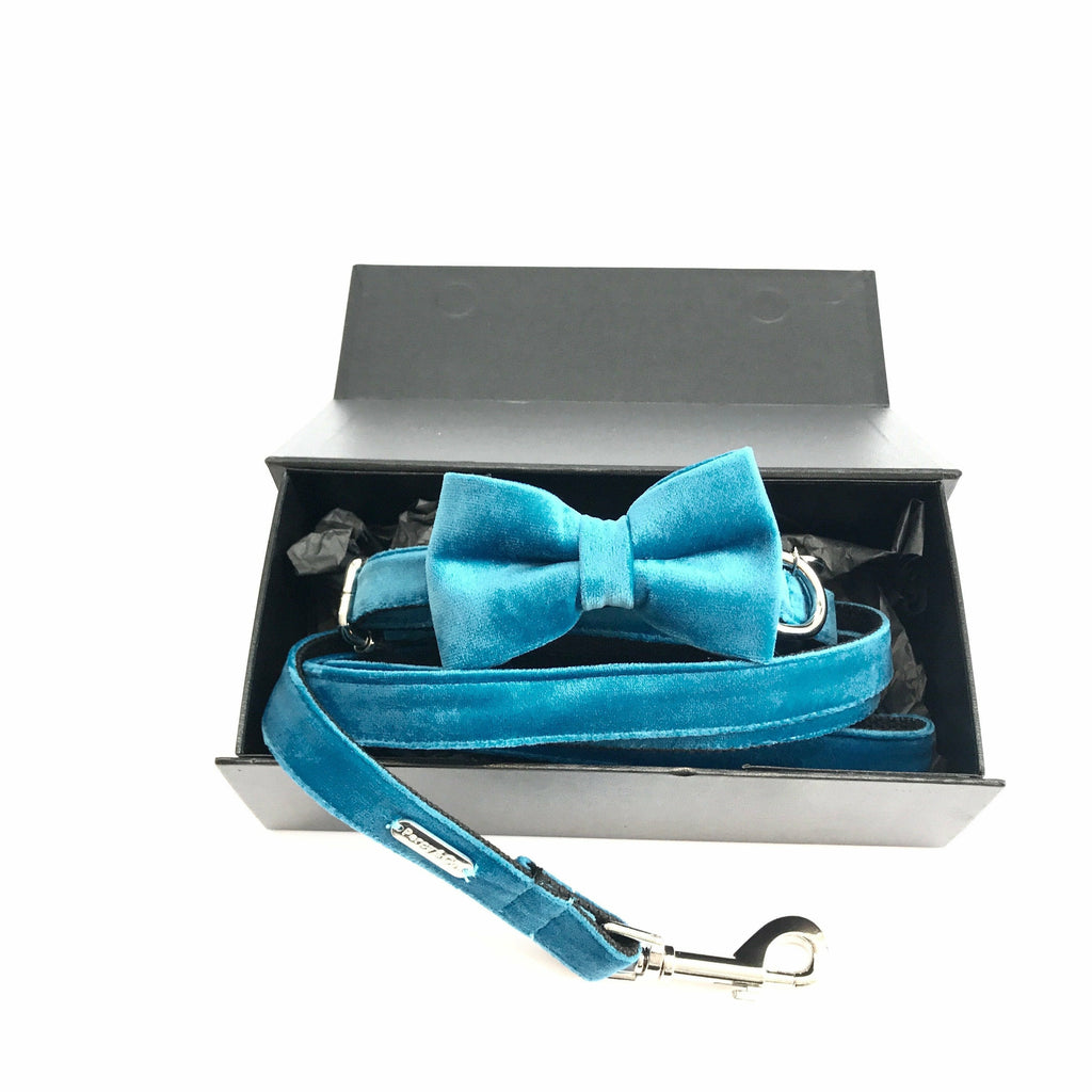 Percy & Co. Bow Tie Collar & Lead Set in Constantine - PurrfectlyYappy