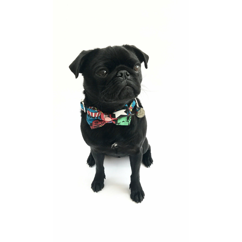 Percy & Co. Dog Collar Bow Tie in The Jesmond - PurrfectlyYappy