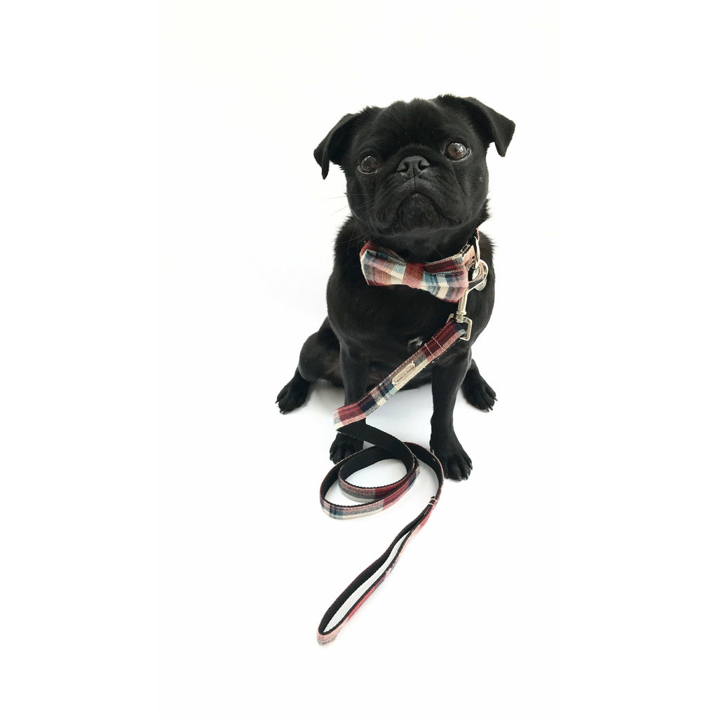 Percy & Co. Bow Tie Collar & Lead Set in The Marple - PurrfectlyYappy