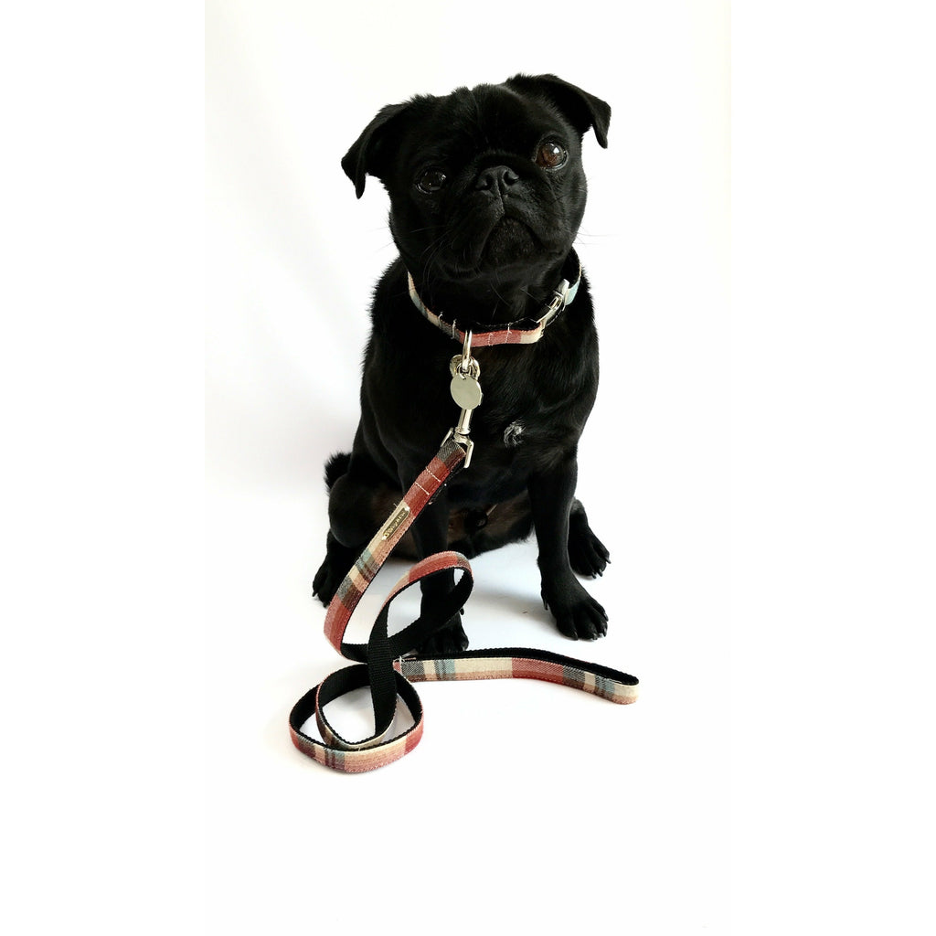 Percy & Co. Dog Collar & Lead Set in The Marple - PurrfectlyYappy