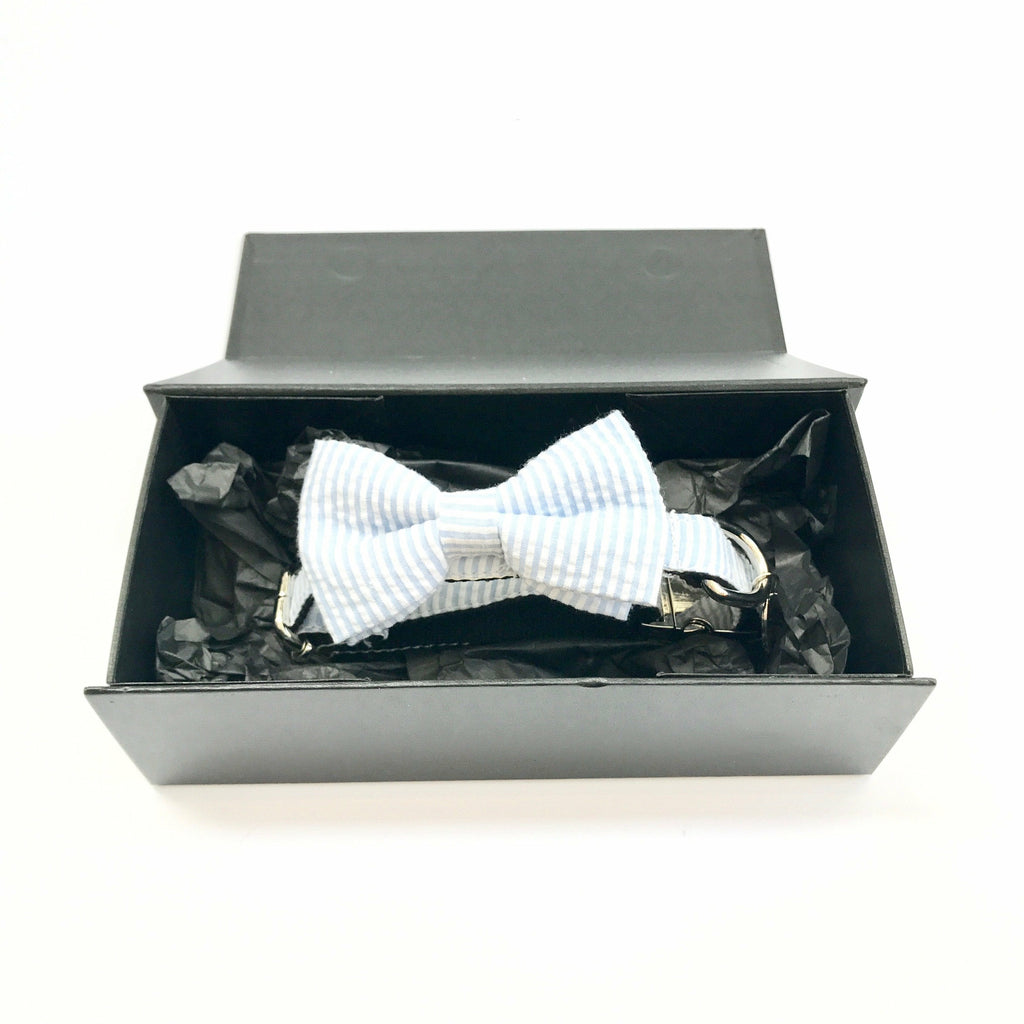 Percy & Co. Dog Collar Bow Tie in The Putney - PurrfectlyYappy