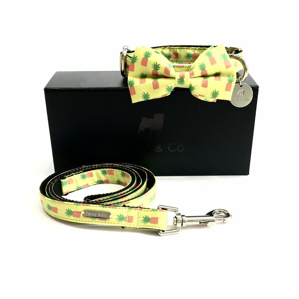 Percy & Co. Bow Tie Collar & Lead Set in The Soho - PurrfectlyYappy