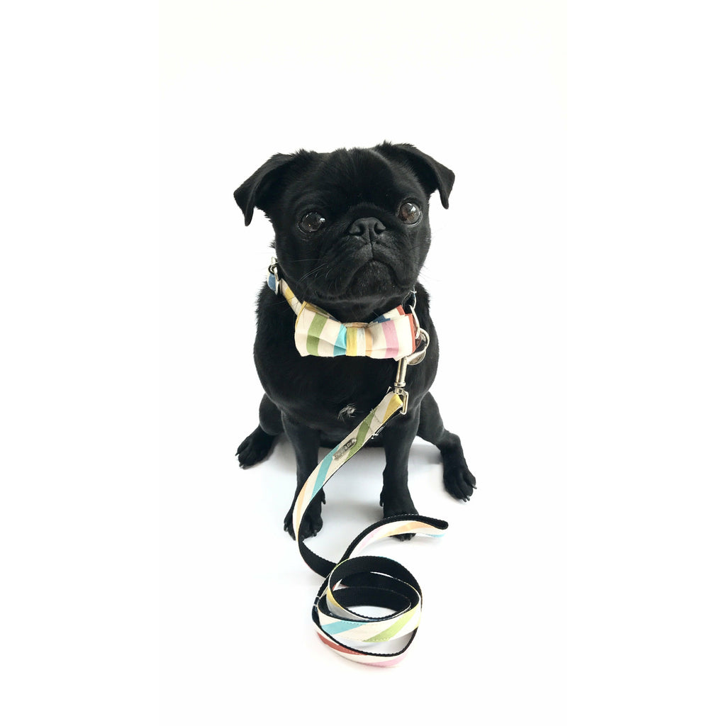 Percy & Co. Bow Tie Collar & Lead Set in The Thurlestone - PurrfectlyYappy