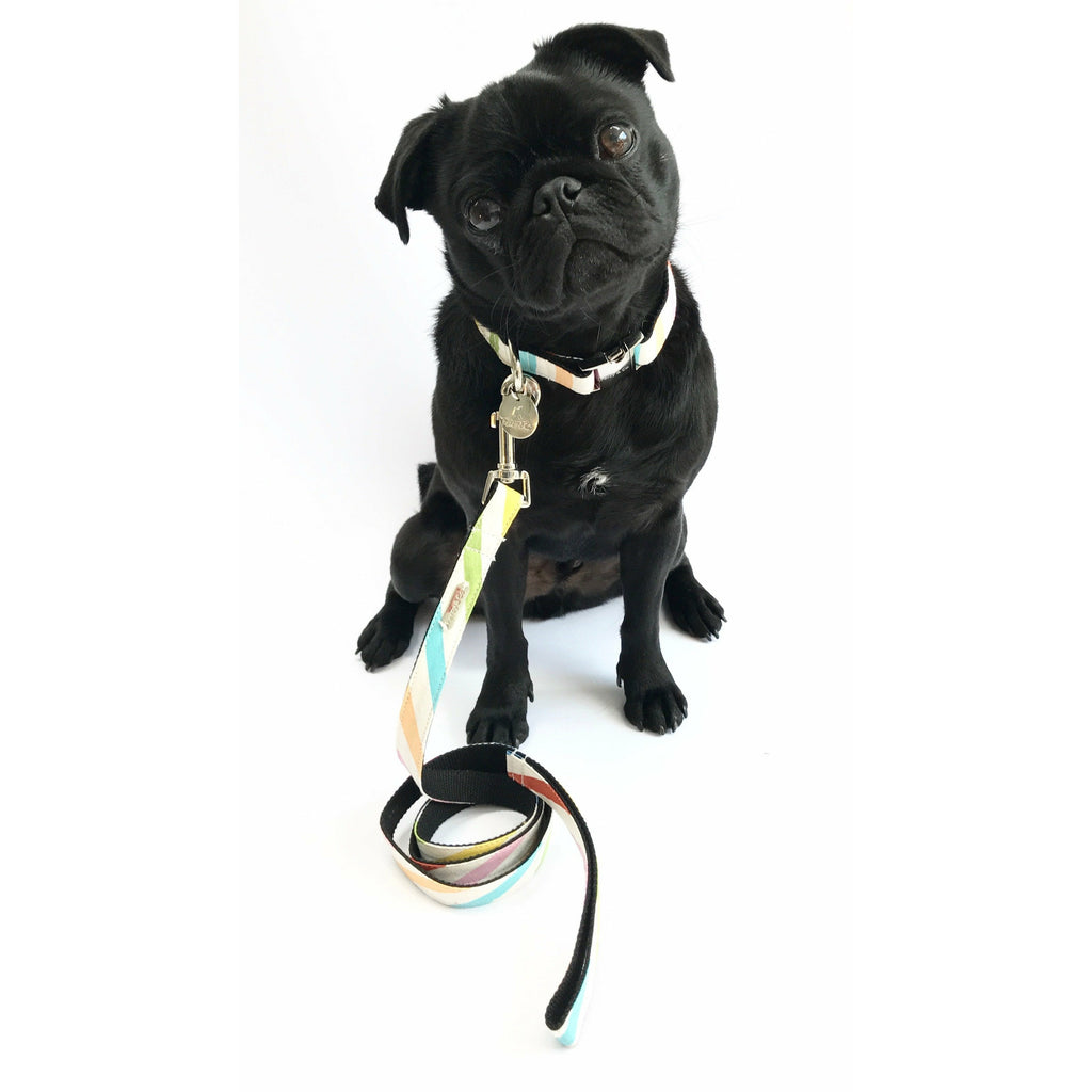 Percy & Co. Dog Collar & Lead Set in The Thurlestone - PurrfectlyYappy