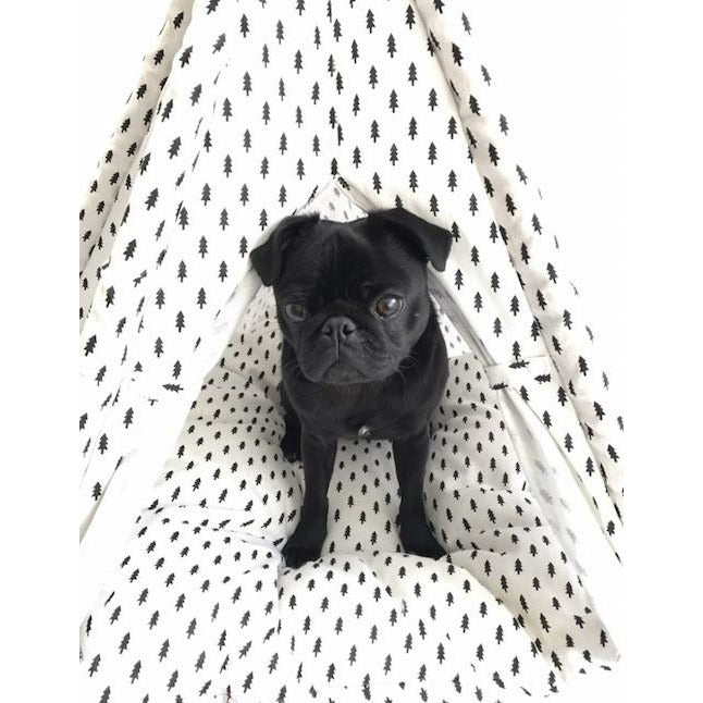 Percy & Co. Dog Teepee in Balmoral - PurrfectlyYappy