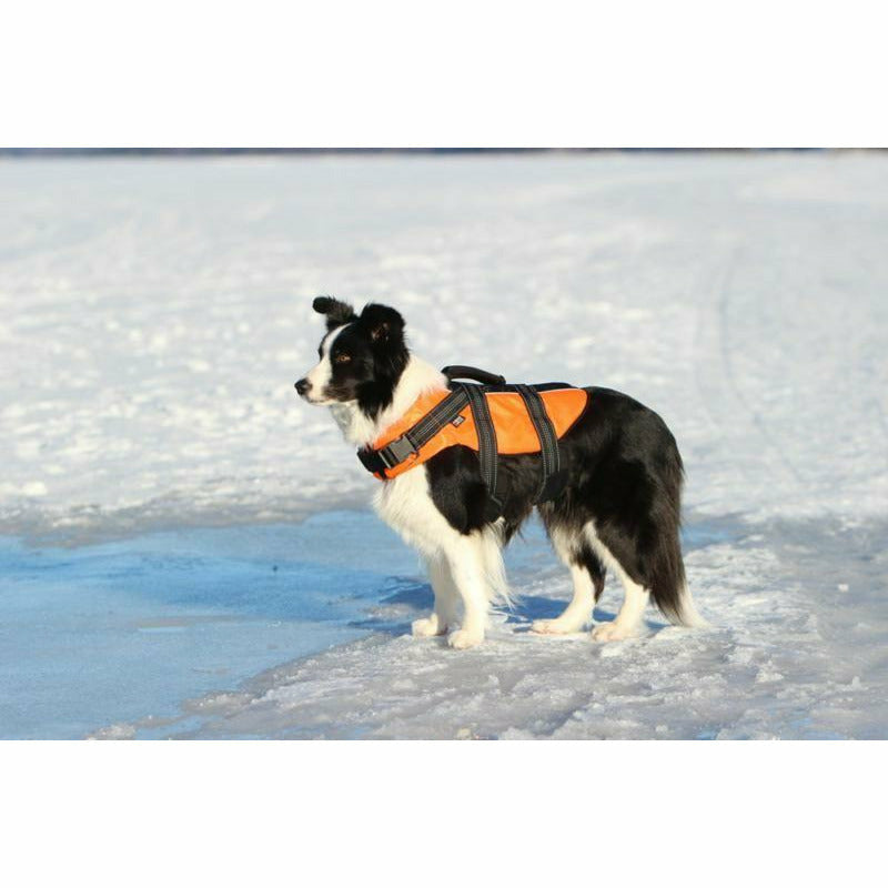 Rukka Safety Vest Dog Life Jacket - Rukka - PurrfectlyYappy 