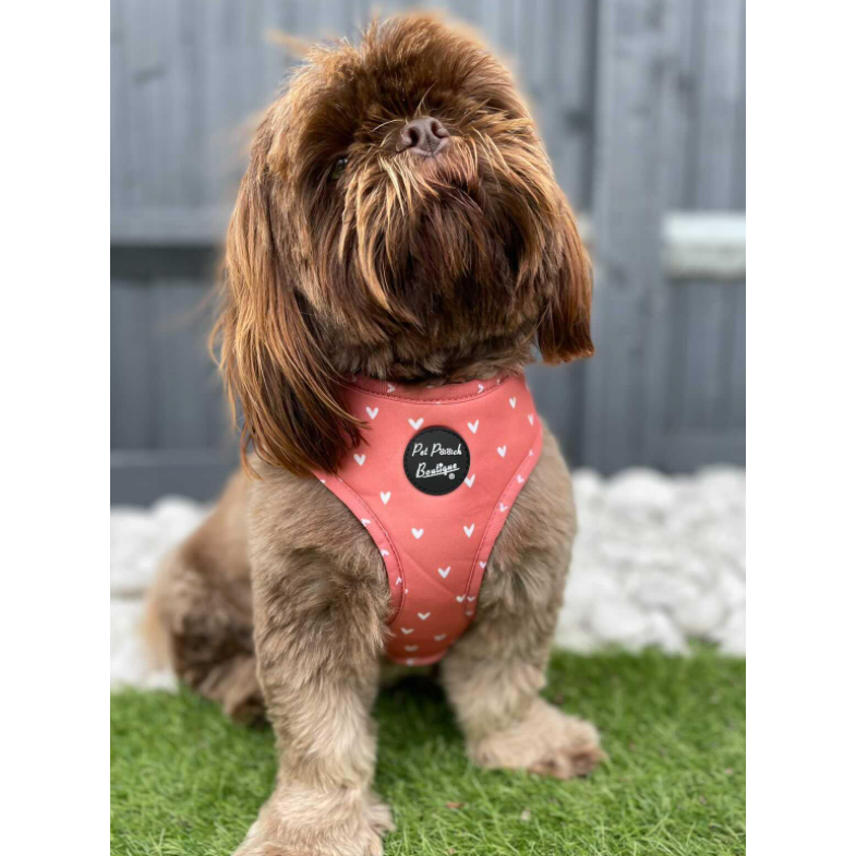 Pet Pooch Boutique Apricot Hearts Dog Harness - Pet Pooch Boutique - PurrfectlyYappy 