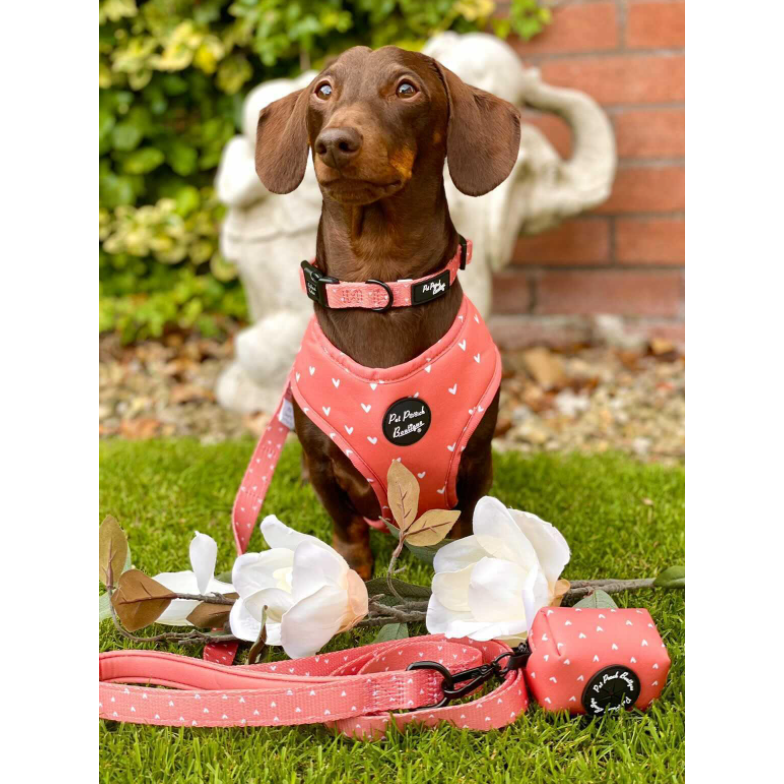 Pet Pooch Boutique Apricot Hearts Dog Collar - Pet Pooch Boutique - PurrfectlyYappy 