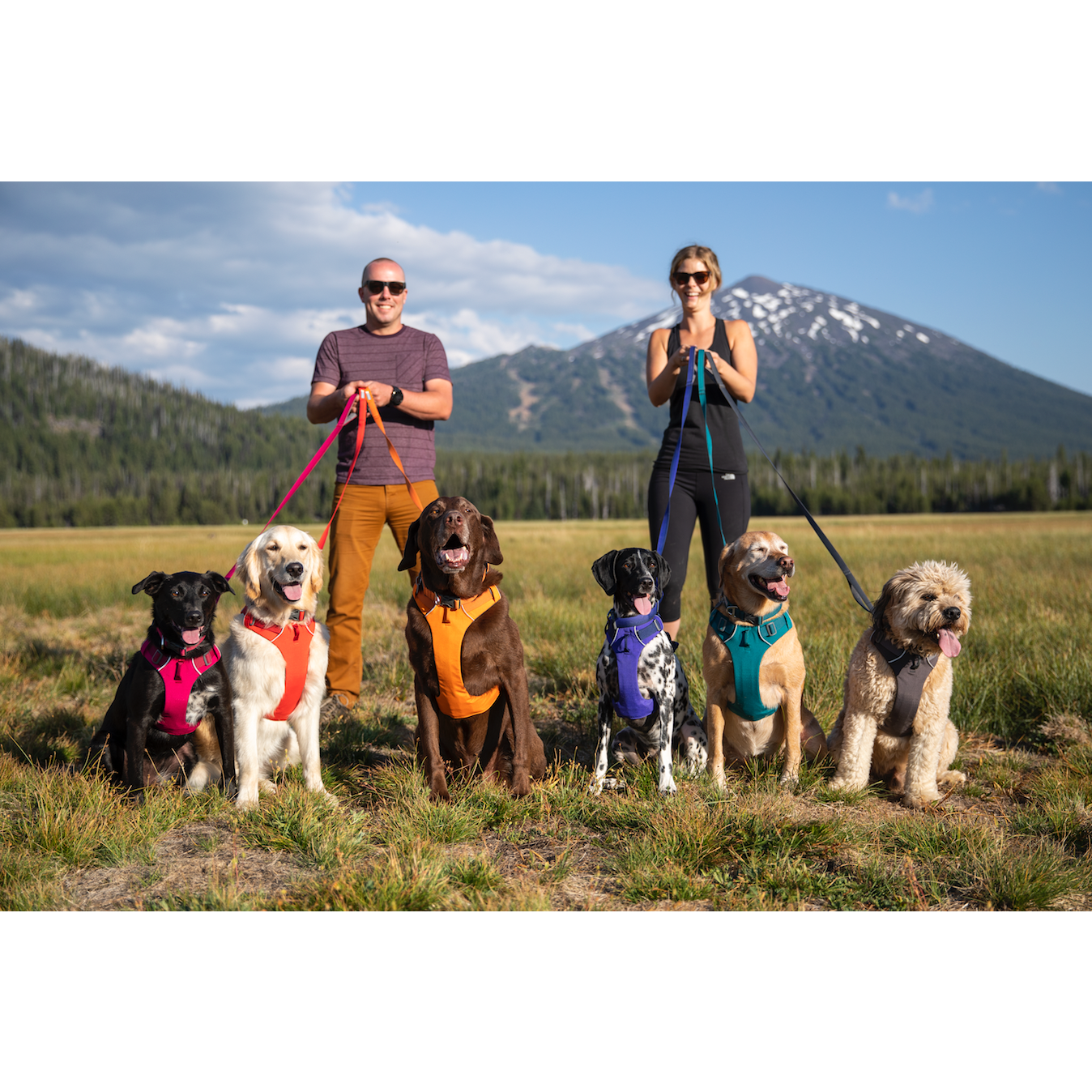 Ruffwear Front Range Leash Hibiscus Pink PurrfectlyYappy