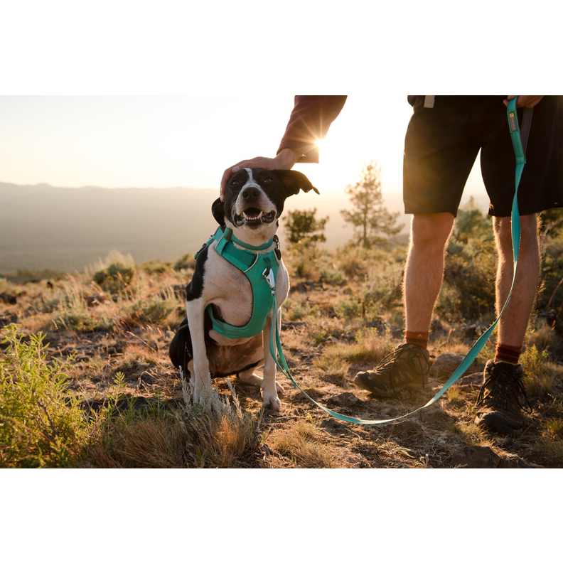 Ruffwear Front Range Dog Harness Aurora Teal