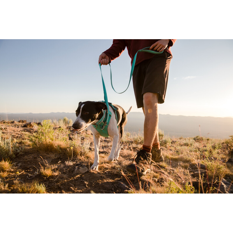 Ruffwear Front Range Dog Harness Aurora Teal