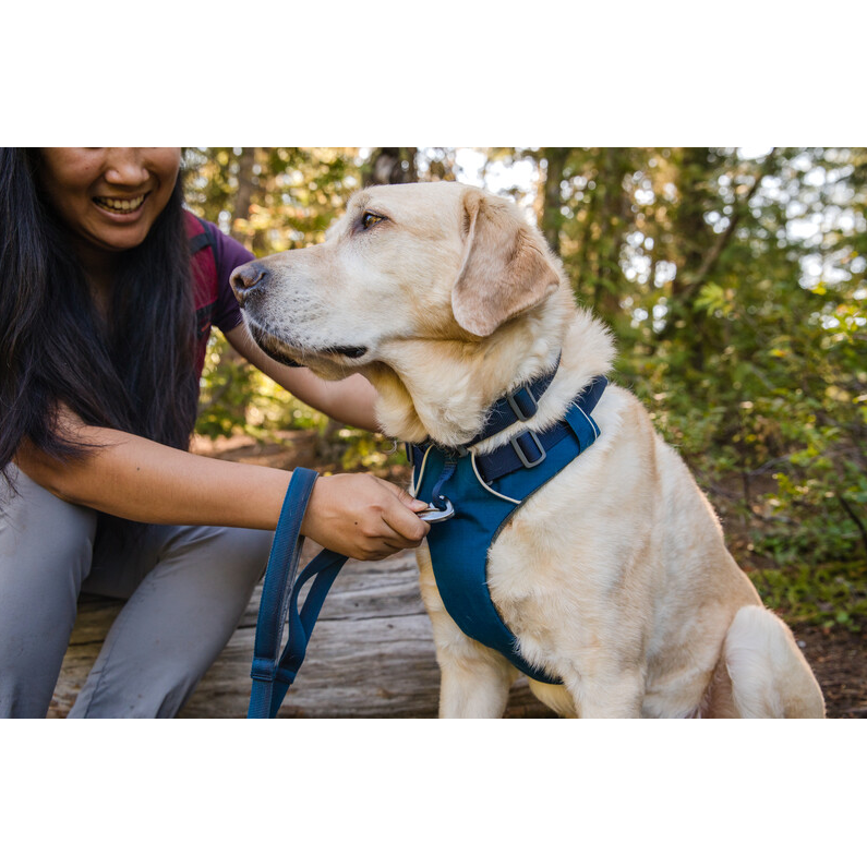 Ruffwear Front Range Dog Harness Blue Moon PurrfectlyYappy