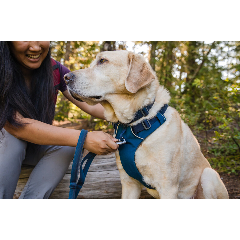 Ruffwear Front Range Dog Harness - Blue Moon - Ruffwear - PurrfectlyYappy 