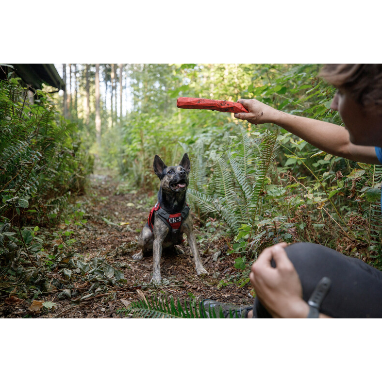 Ruffwear Brush Guard Protecting Dog Harness