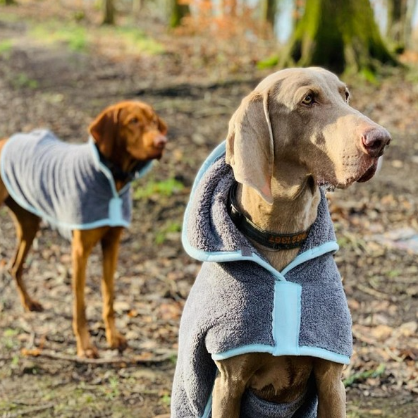 Henry Wag Drying Coat - Henry Wag - PurrfectlyYappy 