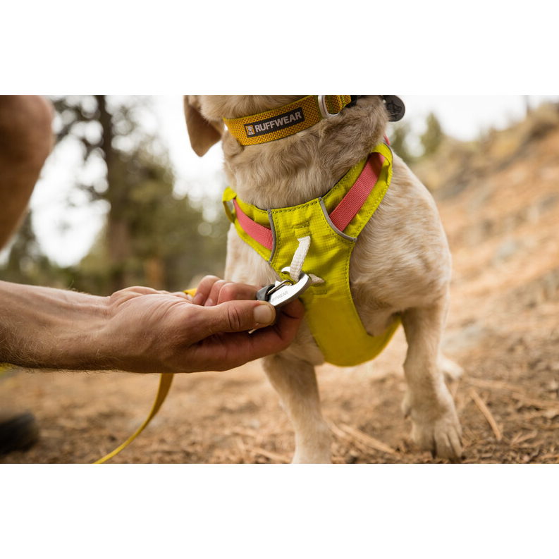 Ruffwear Hi Light Harness