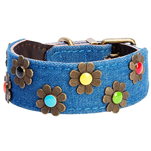 Do&g dog shop collar