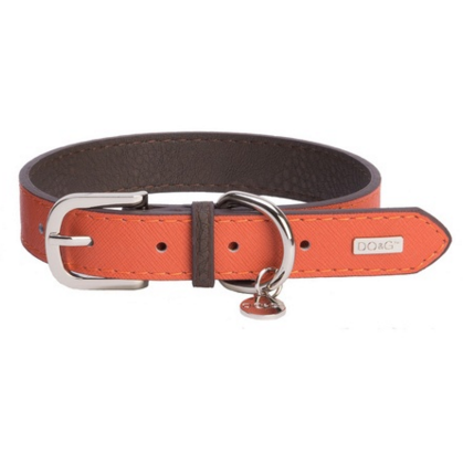 DO&G Leather Collar in Orange - PurrfectlyYappy