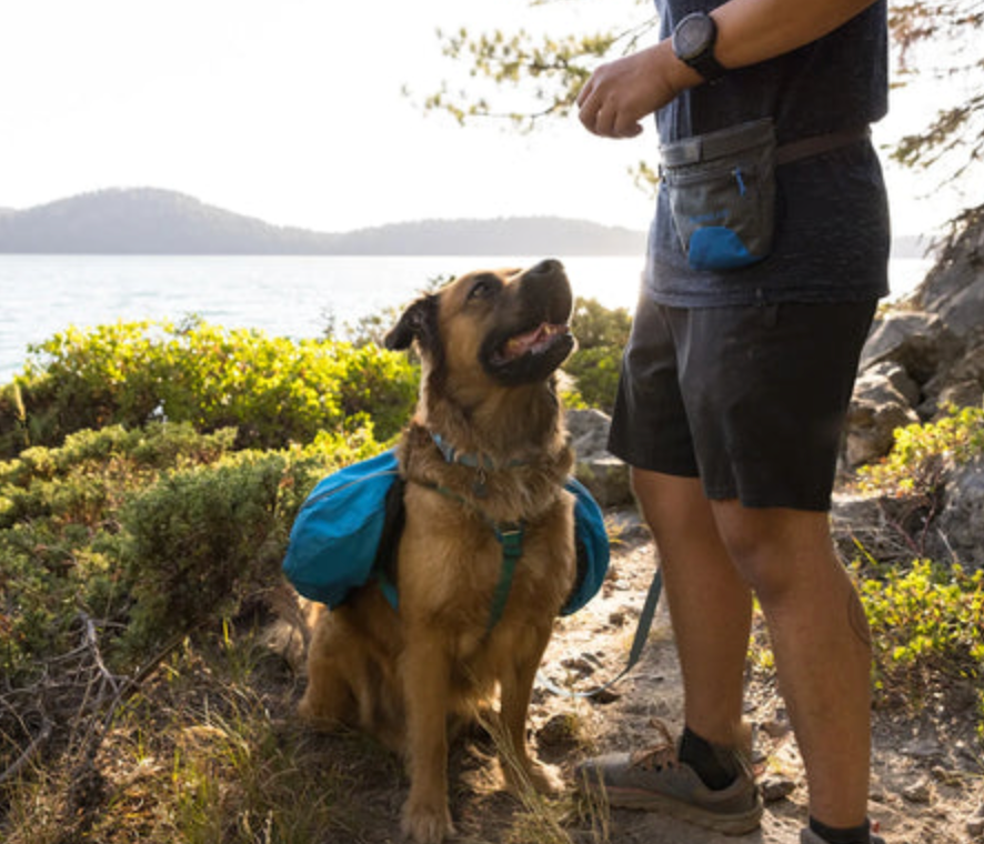 Ruffwear Treat Trader Dog Treat Pouch