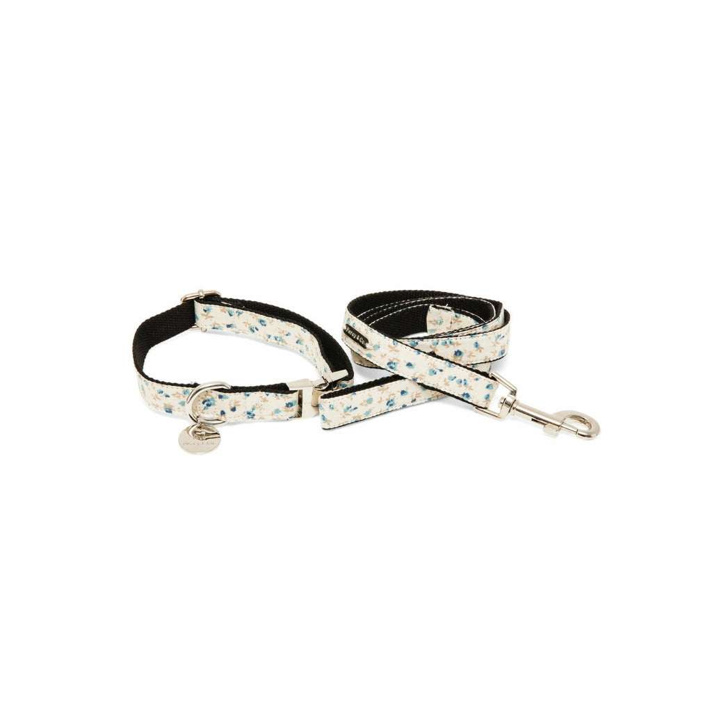 Percy & Co. Dog Collar & Lead Set in The Stamford - PurrfectlyYappy