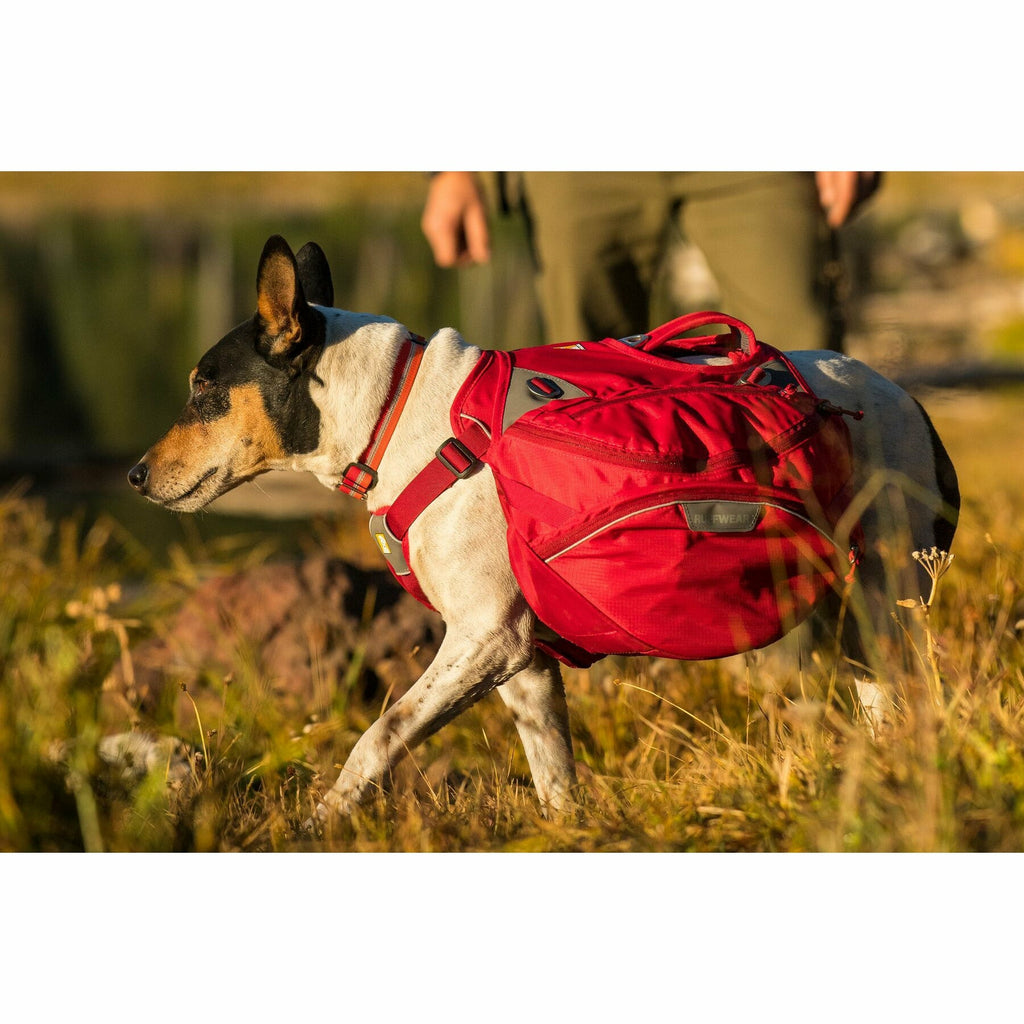Ruffwear Palisades Pack Dog Backpack - Ruffwear - PurrfectlyYappy 