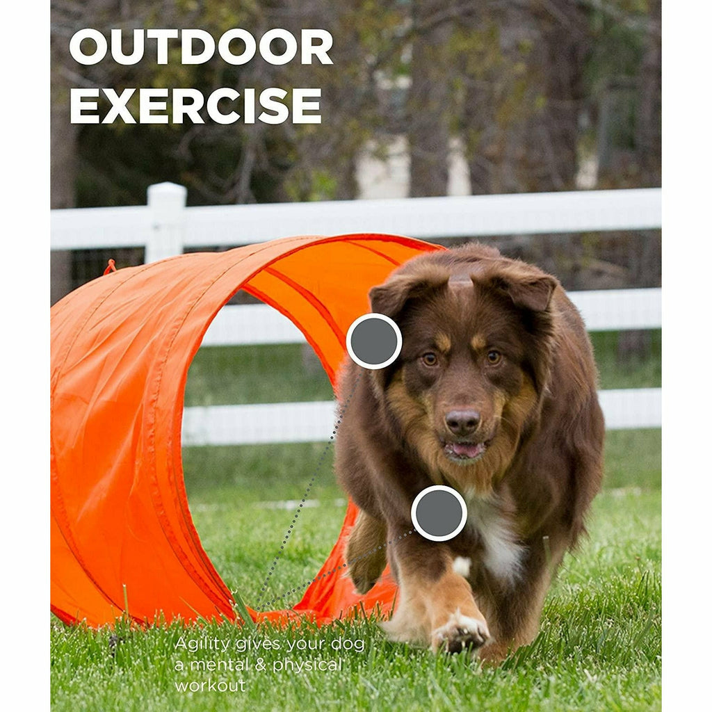 Outward Hound Outdoor Dog Agility Kit - Outward Hound - PurrfectlyYappy 