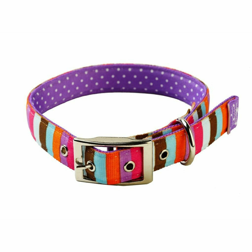 Yellow Dog Design Uptown Multi Stripe on Purple Polka Collar - Yellow Dog Design - PurrfectlyYappy 