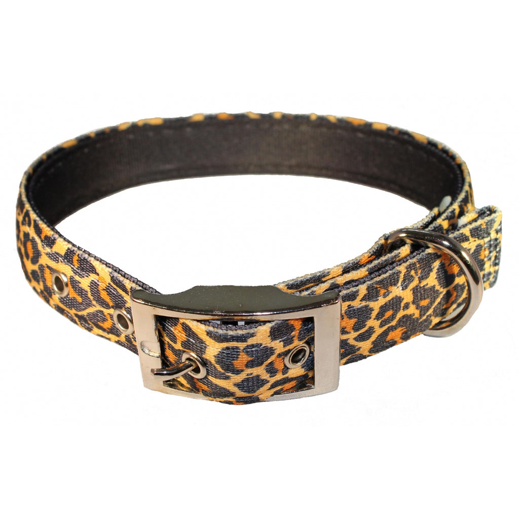 Yellow Dog Design Uptown Leopard Print Collar - Yellow Dog Design - PurrfectlyYappy 