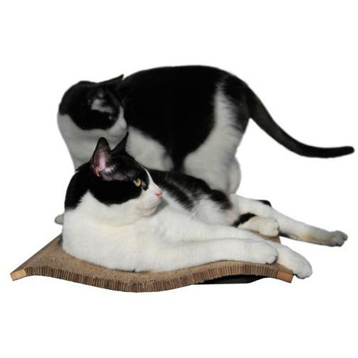 Catroom Neo 1 Cat Scratcher and Bed - PurrfectlyYappy