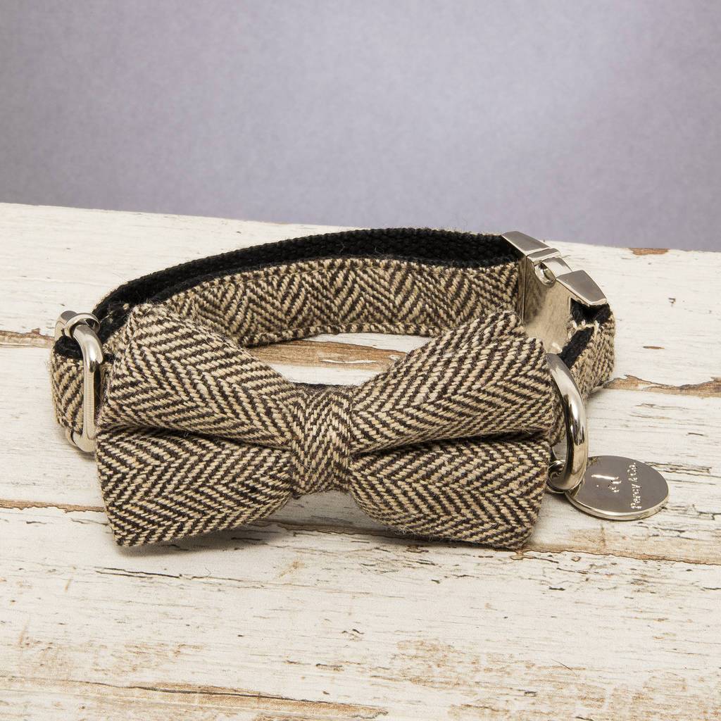 Percy & Co. Dog Bow Tie Collar & Lead Set in Beaufort - PurrfectlyYappy