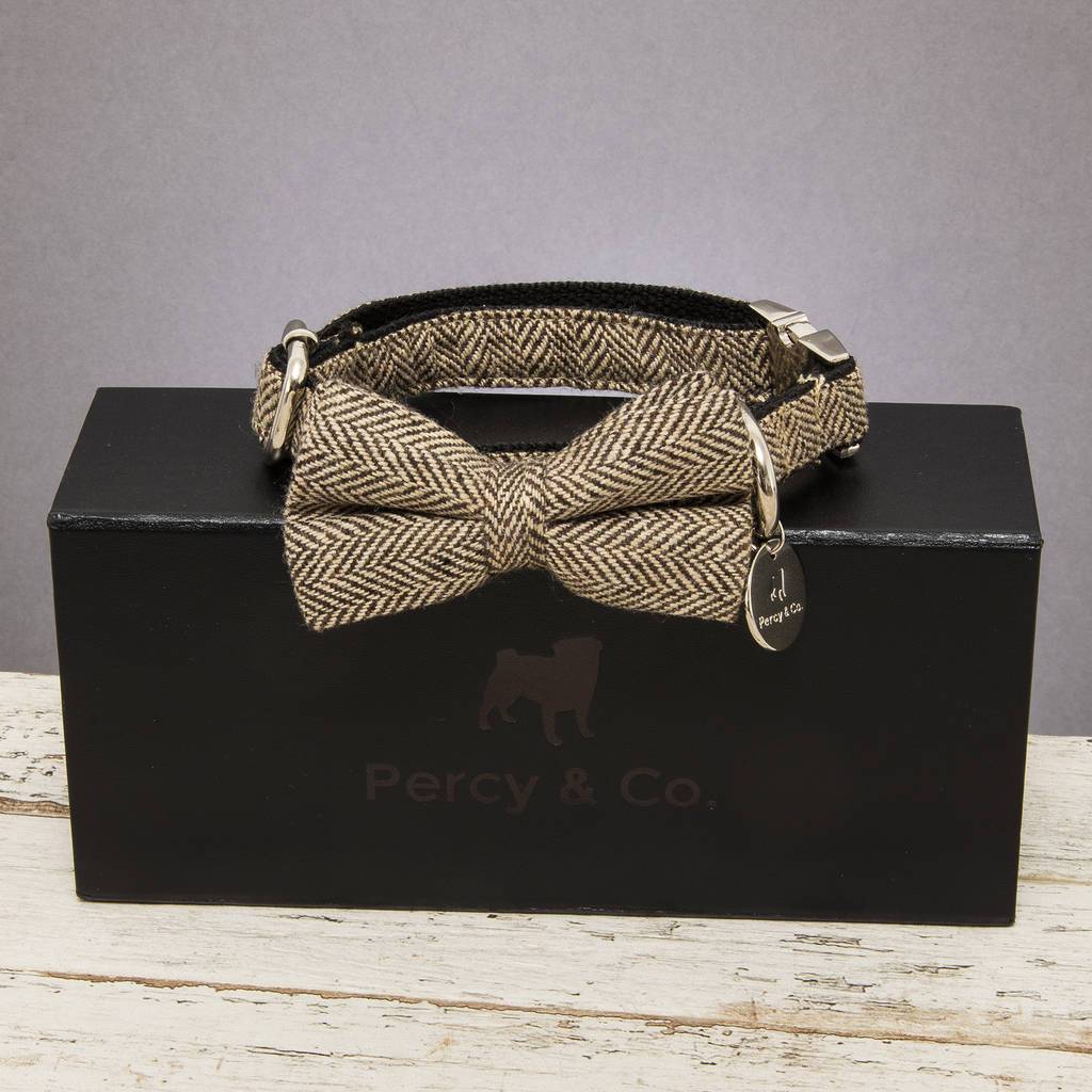 Percy & Co. Dog Bow Tie Collar & Lead Set in Beaufort